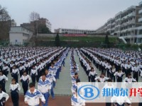 纳雍雍安育才高级中学2023年招生录取分数线