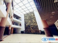 重庆第四十二中学校2024年招生计划