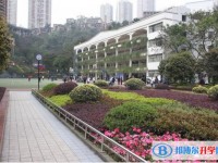 重庆复旦中学2024年招生计划