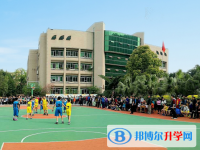 重庆兼善中学2025年招生计划