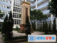 重庆南开中学2025年招生计划