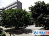 重庆市南坪中学校2025年招生计划