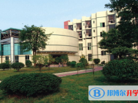 重庆市第十一中学2025年招生计划