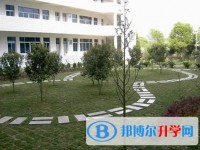 新平县第一中学2025年招生计划