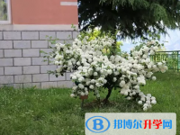 维西县第一中学2025年招生计划