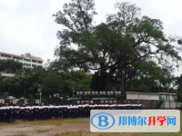 勐腊县第一中学2025年招生计划
