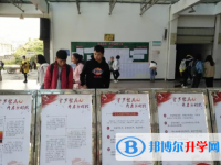 红河州屏边县第一中学2025年招生计划