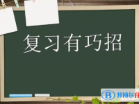 2020年南充中考重点复习资料