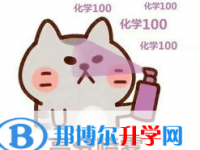 2020年巴中中考怎么查询