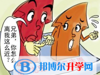 2020年巴中中考志愿最好怎样填