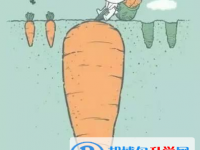 2020年云南中考招生情况