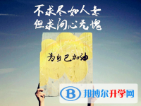 2020年云南中考招生网络应用服务平台
