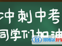 2020年达州中考推荐生自荐信