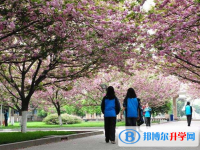 遂宁第二中学2025年招生代码