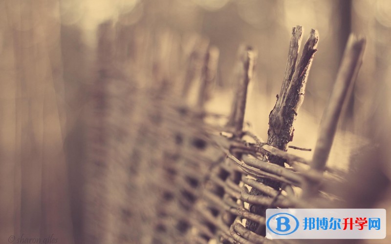 2020年达州中考招生考试查询系统