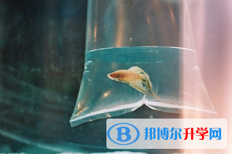 微信图片_20191220144749
