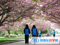 青白江姚渡中学2025年招生代码
