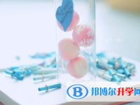 2020年达州中考报名志愿