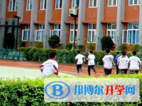 成都第二十四中学2025年招生代码