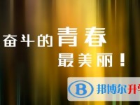 2020年内江中考重点复习