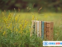 2020年内江中考网上报名系统