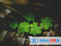 2020年内江怎么写中考自荐书