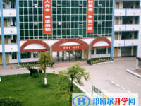 什邡雍城中学2025年招生代码
