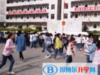 乐至大佛中学2025年学费、收费多少