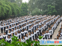 四川乐山牛华中学2024年招生计划
