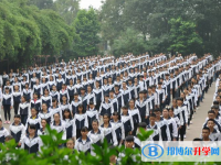 四川乐山牛华中学2025年招生计划