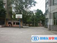 泸州长江中学2025年招生计划