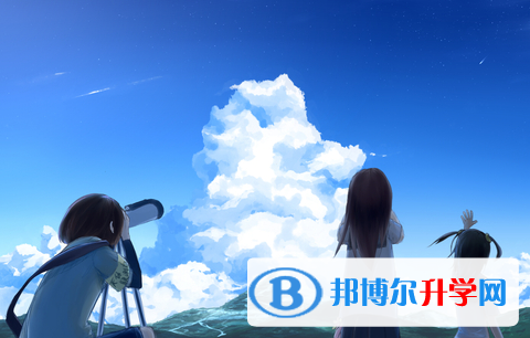 2020年乐山中考在哪查询成绩