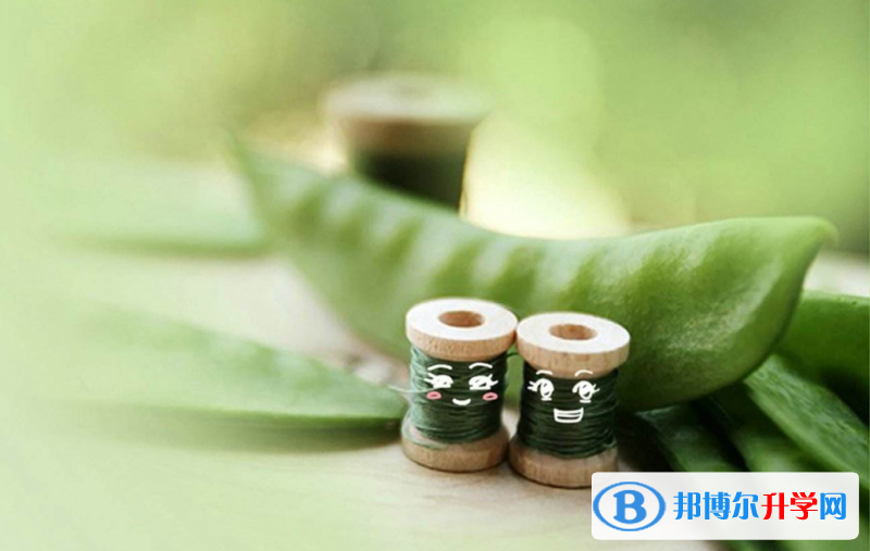 2020年乐山中考成绩什么时候公布