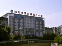 营山第二中学2025年排名