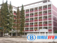 邻水九龙中学2025年招生代码