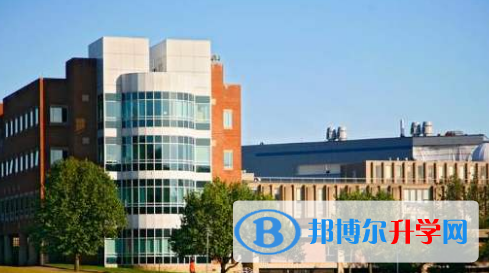 香港犹太教国际学校2023年学费、收费多少