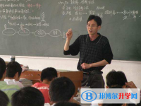 都江堰第三中学2025年招生代码