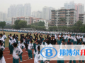 香港港岛中学2023年招生计划