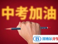 2020年乐山中考网络应用服务平台成绩查询