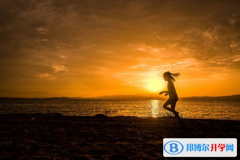 2020年眉山中考成绩怎么查询 