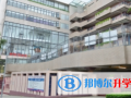 香港汉基国际学校2023年招生办联系电话