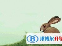 2020年眉山中考成绩什么时候出来