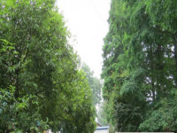 四川沐川中学2025年宿舍条件