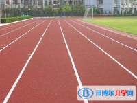 四川金阳中学2025年招生代码
