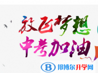 2020年自贡中考招生计划查询
