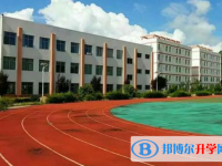 四川会理通安中学2025年学费、收费多少
