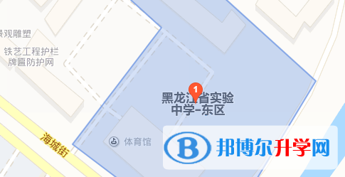 黑龙江实验中学国际班地址在哪里