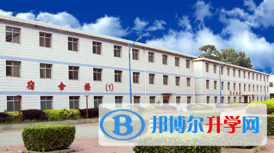 苍龙国际学校2023年学费、收费多少