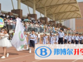 石家庄东风国际学校2023年招生办联系电话