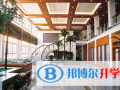 上海金苹果双语学校国际部2023年招生计划